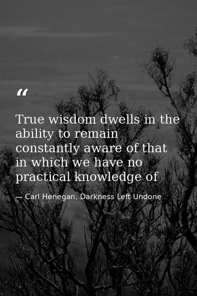 True wisdom dwells in the ability to remain constantly aware of that in which we have no practical knowledge of — Carl Henegan, Darkness Left Undone