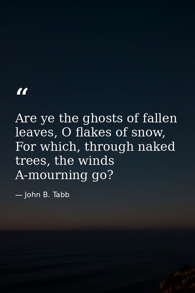Are ye the ghosts of fallen leaves, O flakes of snow, For which, through naked trees, the winds A-mourning go? — John B. Tabb