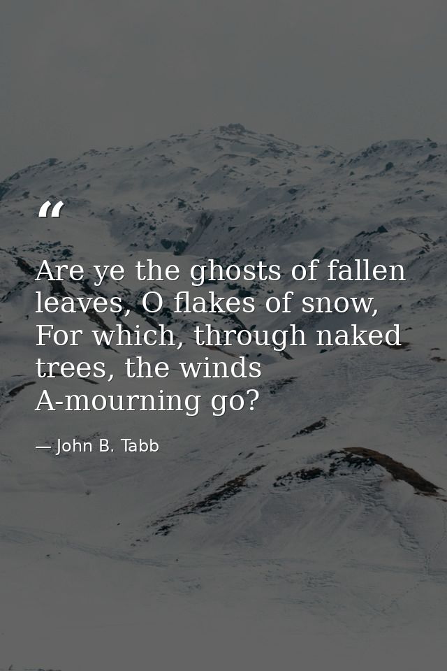 Are ye the ghosts of fallen leaves, O flakes of snow, For which, through naked trees, the winds A-mourning go? — John B. Tabb