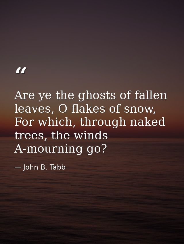 Are ye the ghosts of fallen leaves, O flakes of snow, For which, through naked trees, the winds A-mourning go? — John B. Tabb