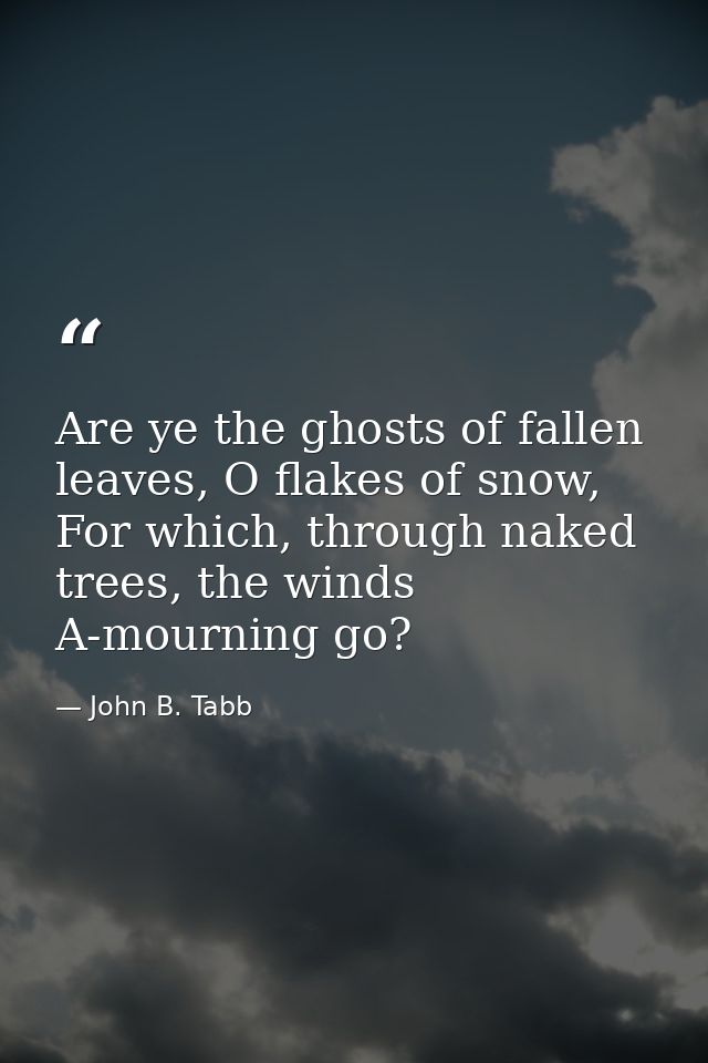 Are ye the ghosts of fallen leaves, O flakes of snow, For which, through naked trees, the winds A-mourning go? — John B. Tabb