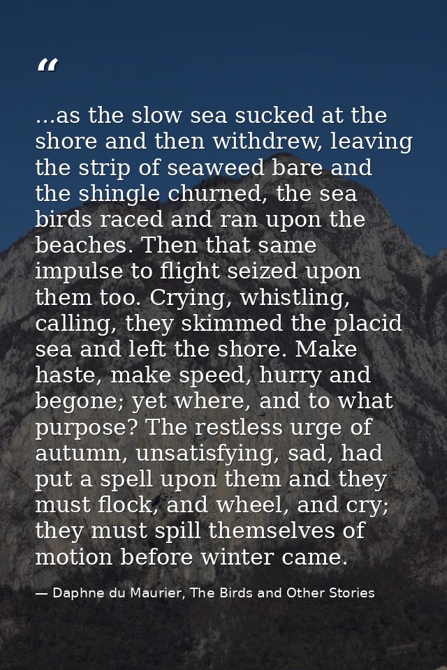 ...as the slow sea sucked at the shore and then withdrew, leaving the strip of seaweed bare and the shingle churned, the — Daphne du Maurier, The Birds and Other Stories