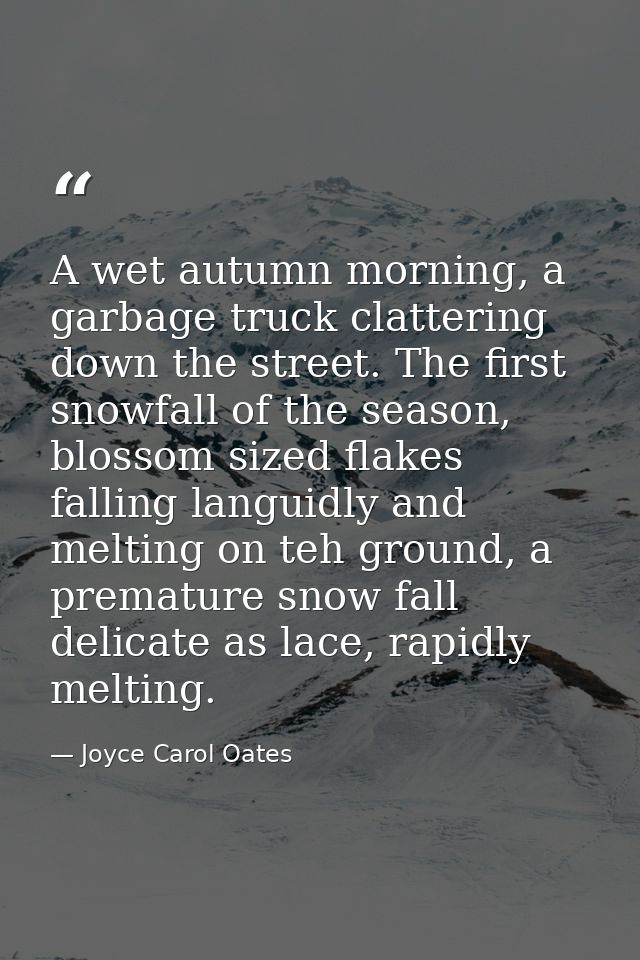 A wet autumn morning, a garbage truck clattering down the street. The first snowfall of the season, blossom sized flakes — Joyce Carol Oates