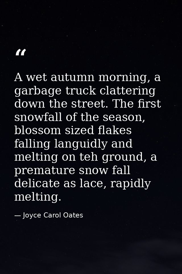 A wet autumn morning, a garbage truck clattering down the street. The first snowfall of the season, blossom sized flakes — Joyce Carol Oates