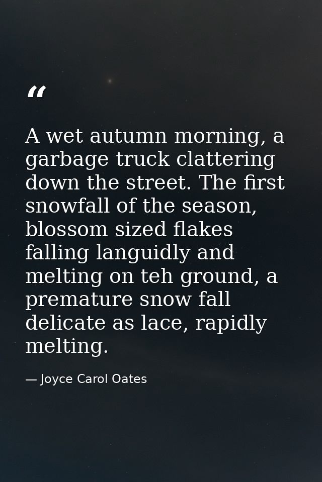 A wet autumn morning, a garbage truck clattering down the street. The first snowfall of the season, blossom sized flakes — Joyce Carol Oates
