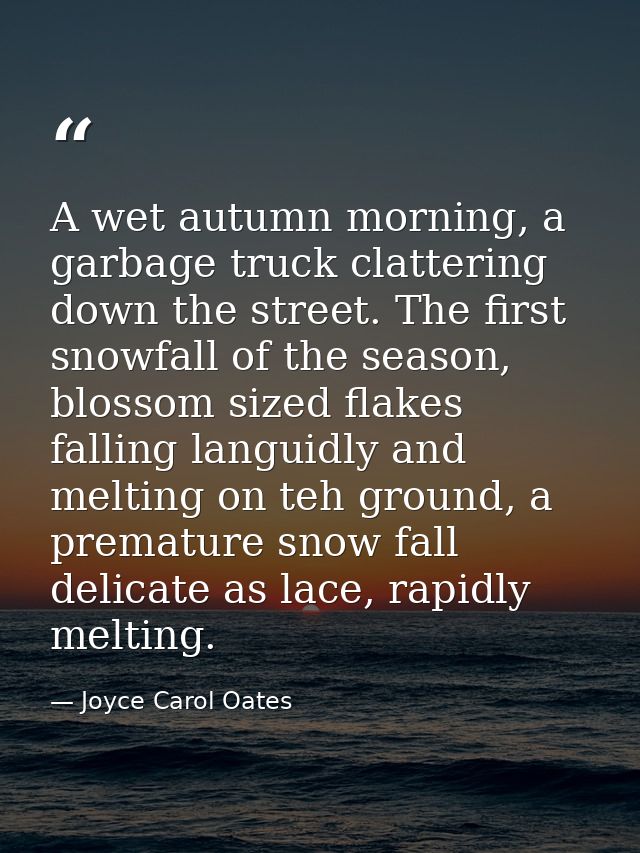 A wet autumn morning, a garbage truck clattering down the street. The first snowfall of the season, blossom sized flakes — Joyce Carol Oates