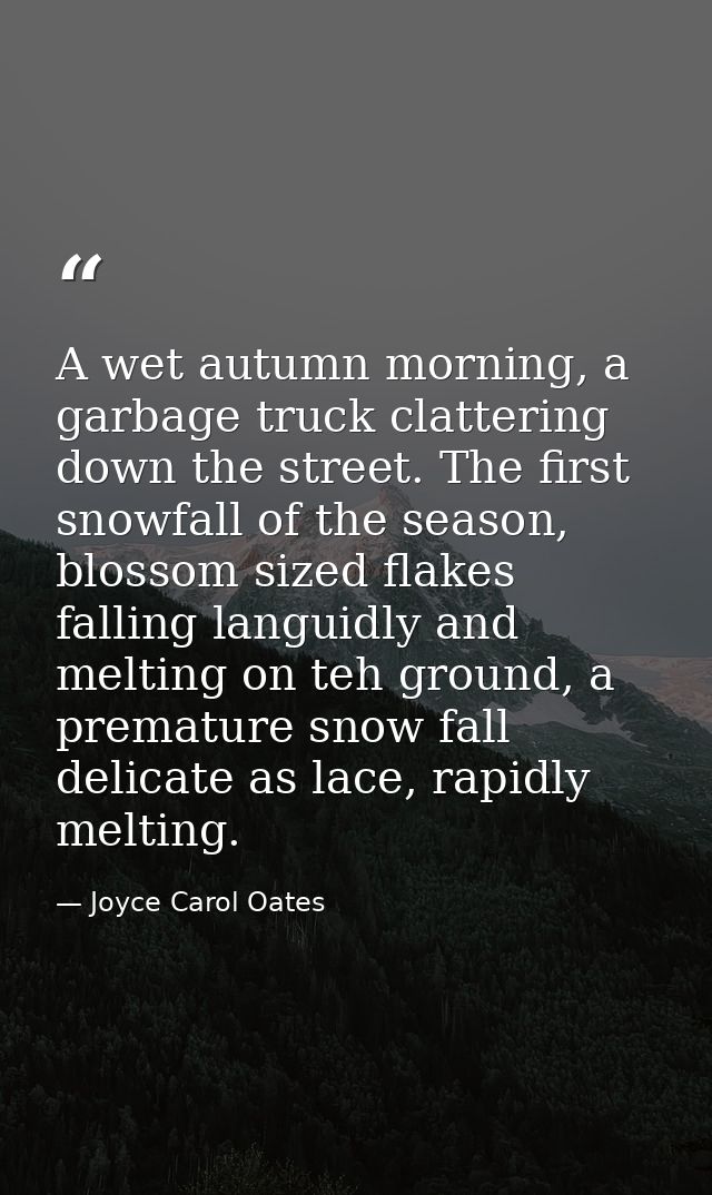 A wet autumn morning, a garbage truck clattering down the street. The first snowfall of the season, blossom sized flakes — Joyce Carol Oates
