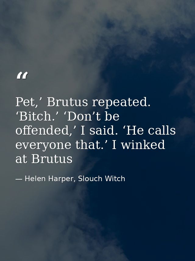 Pet,’ Brutus repeated. ‘Bitch.’ ‘Don’t be offended,’ I said. ‘He calls everyone that.’ I winked at Brutus — Helen Harper, Slouch Witch