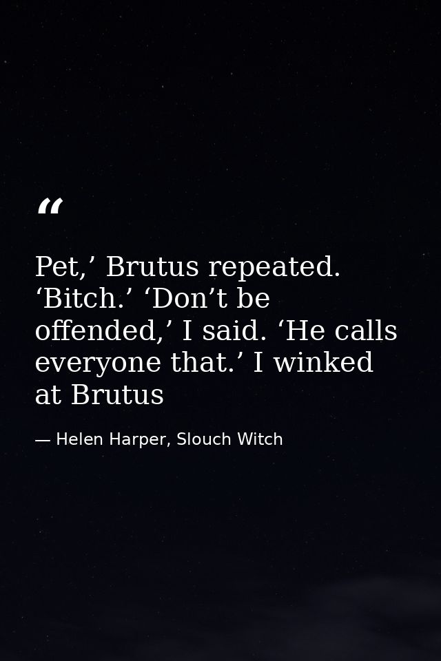 Pet,’ Brutus repeated. ‘Bitch.’ ‘Don’t be offended,’ I said. ‘He calls everyone that.’ I winked at Brutus — Helen Harper, Slouch Witch
