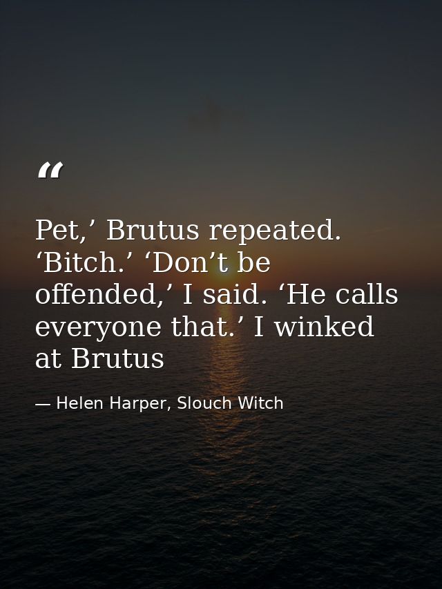 Pet,’ Brutus repeated. ‘Bitch.’ ‘Don’t be offended,’ I said. ‘He calls everyone that.’ I winked at Brutus — Helen Harper, Slouch Witch