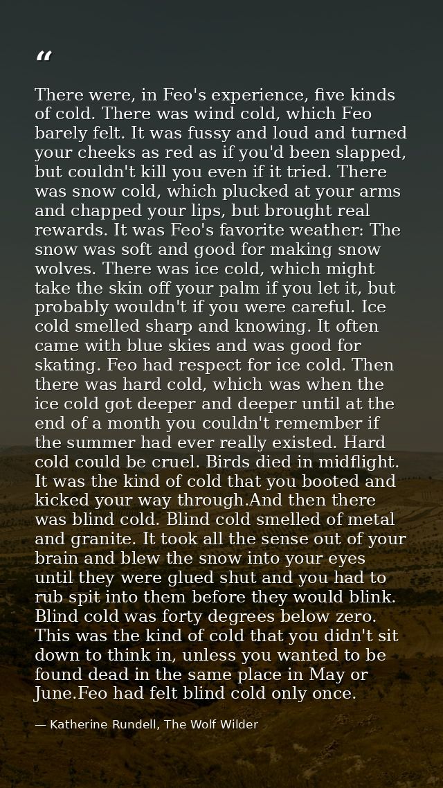 There were, in Feo's experience, five kinds of cold. There was wind cold, which Feo barely felt. It was fussy and loud a — Katherine Rundell, The Wolf Wilder