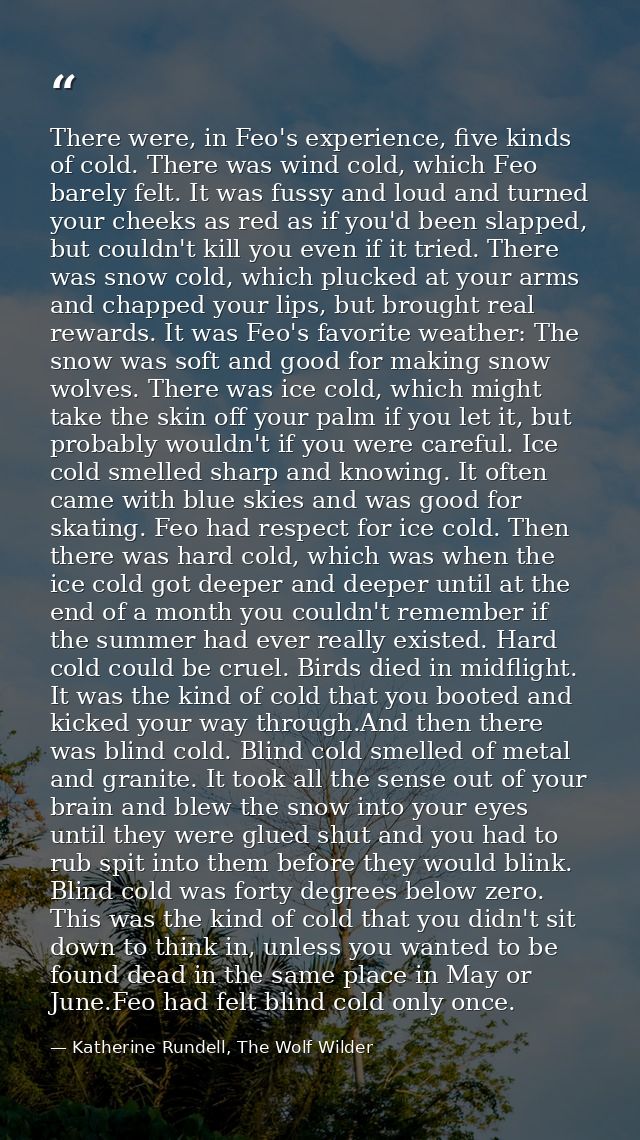 There were, in Feo's experience, five kinds of cold. There was wind cold, which Feo barely felt. It was fussy and loud a — Katherine Rundell, The Wolf Wilder