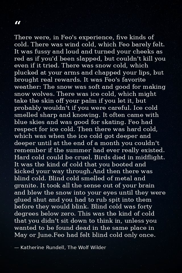 There were, in Feo's experience, five kinds of cold. There was wind cold, which Feo barely felt. It was fussy and loud a — Katherine Rundell, The Wolf Wilder