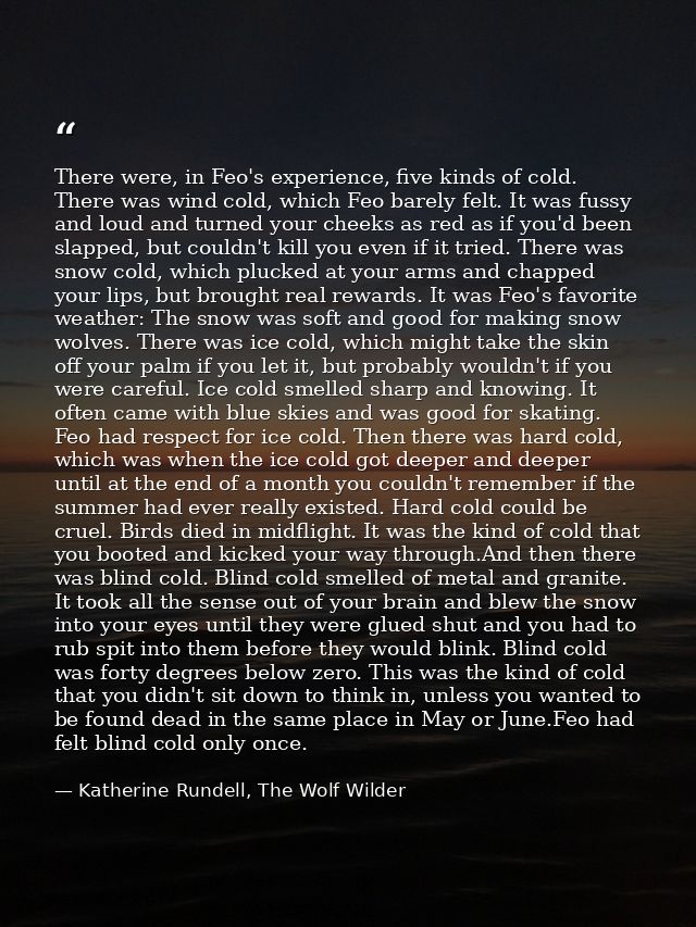 There were, in Feo's experience, five kinds of cold. There was wind cold, which Feo barely felt. It was fussy and loud a — Katherine Rundell, The Wolf Wilder