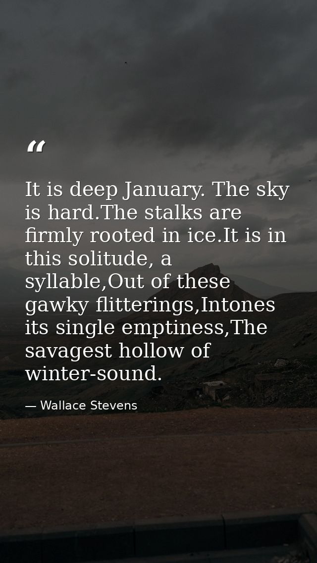 It is deep January. The sky is hard.The stalks are firmly rooted in ice.It is in this solitude, a syllable,Out of these  — Wallace Stevens