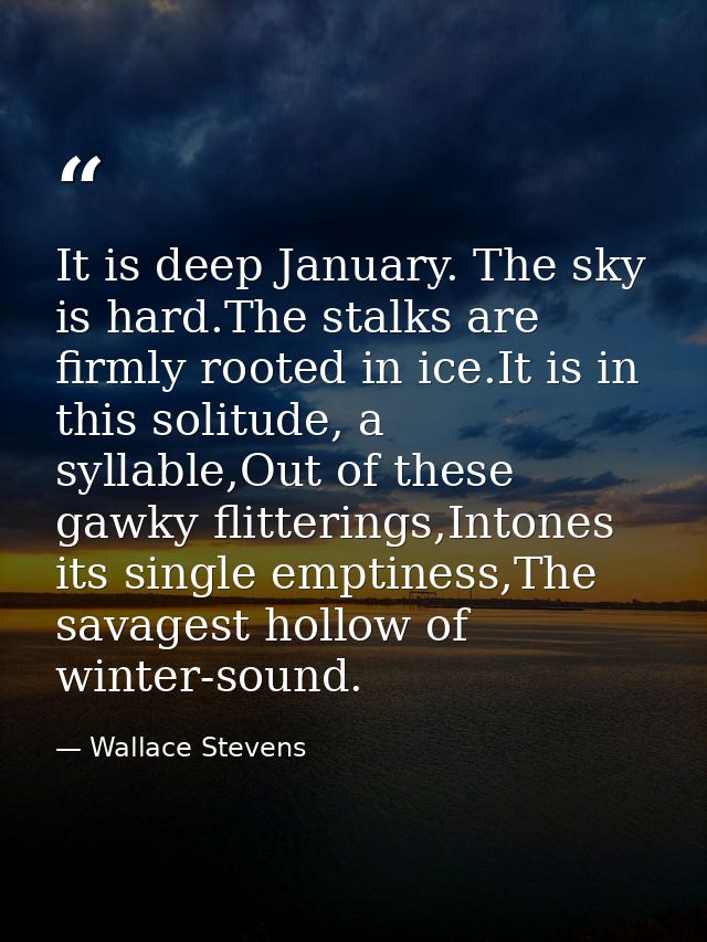 It is deep January. The sky is hard.The stalks are firmly rooted in ice.It is in this solitude, a syllable,Out of these  — Wallace Stevens
