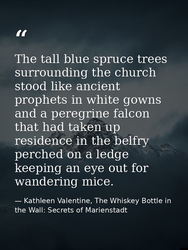 The tall blue spruce trees surrounding the church stood like ancient prophets in white gowns and a peregrine falcon that — Kathleen Valentine, The Whiskey Bottle in the Wall: Secrets of Marienstadt