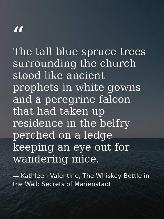 The tall blue spruce trees surrounding the church stood like ancient prophets in white gowns and a peregrine falcon that — Kathleen Valentine, The Whiskey Bottle in the Wall: Secrets of Marienstadt