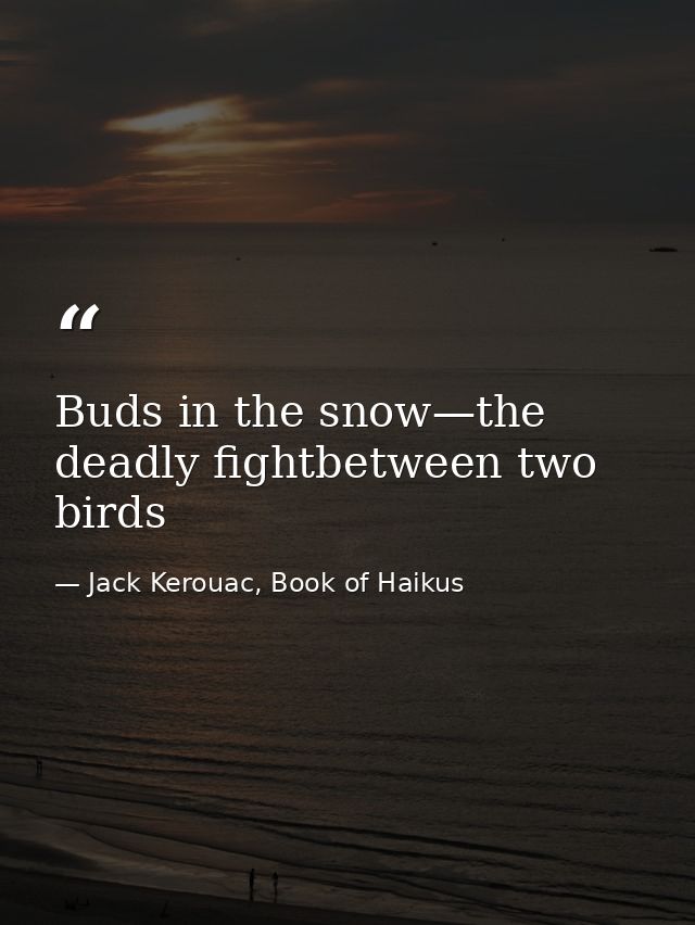 Buds in the snow—the deadly fightbetween two birds — Jack Kerouac, Book of Haikus