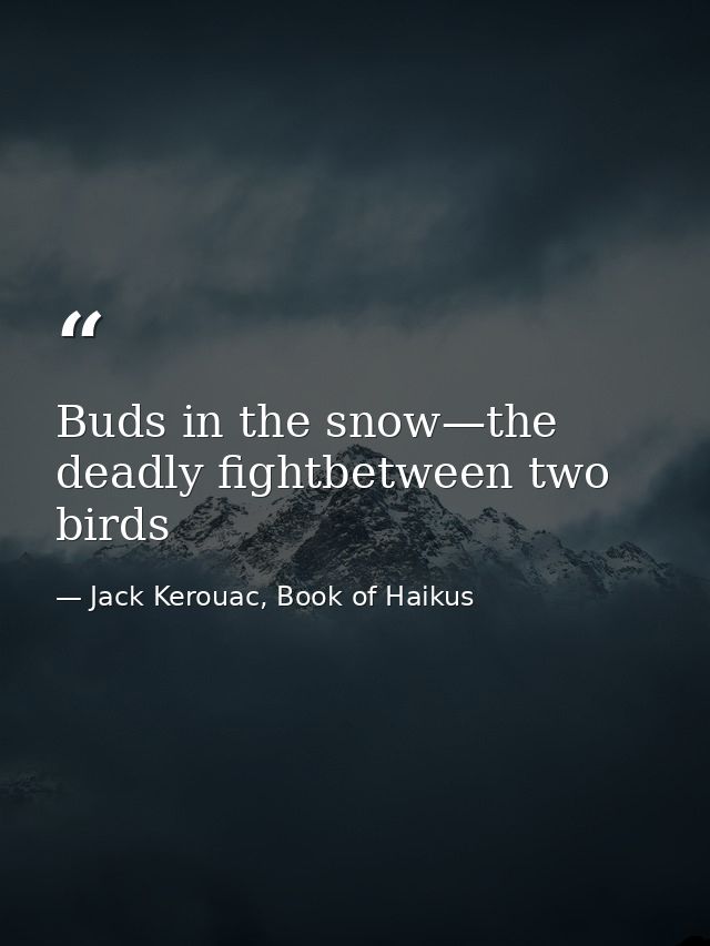 Buds in the snow—the deadly fightbetween two birds — Jack Kerouac, Book of Haikus