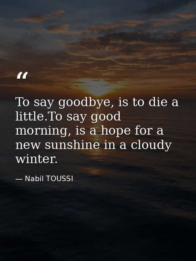 To say goodbye, is to die a little.To say good morning, is a hope for a new sunshine in a cloudy winter. — Nabil TOUSSI