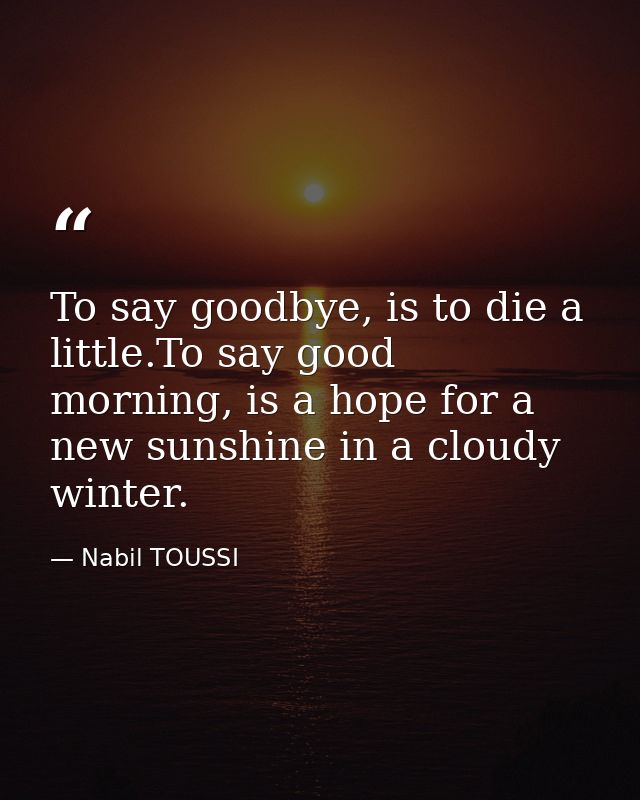To say goodbye, is to die a little.To say good morning, is a hope for a new sunshine in a cloudy winter. — Nabil TOUSSI