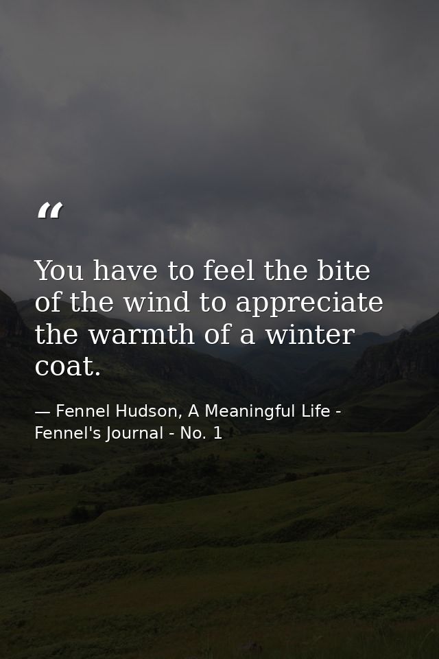You have to feel the bite of the wind to appreciate the warmth of a winter coat. — Fennel Hudson, A Meaningful Life - Fennel's Journal - No. 1