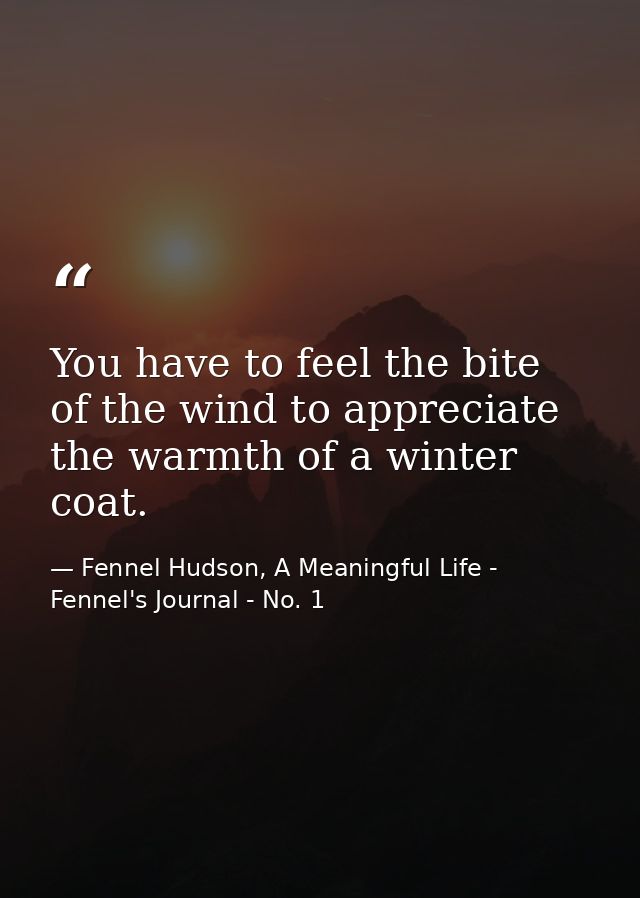 You have to feel the bite of the wind to appreciate the warmth of a winter coat. — Fennel Hudson, A Meaningful Life - Fennel's Journal - No. 1