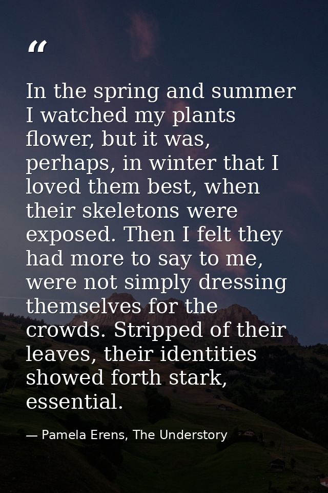 In the spring and summer I watched my plants flower, but it was, perhaps, in winter that I loved them best, when their s — Pamela Erens, The Understory