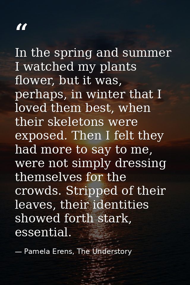 In the spring and summer I watched my plants flower, but it was, perhaps, in winter that I loved them best, when their s — Pamela Erens, The Understory