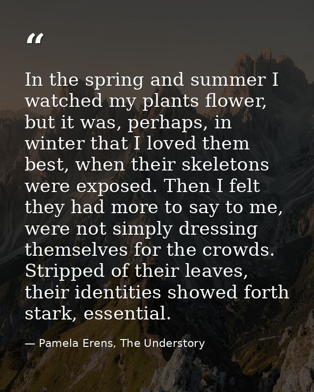 In the spring and summer I watched my plants flower, but it was, perhaps, in winter that I loved them best, when their s — Pamela Erens, The Understory