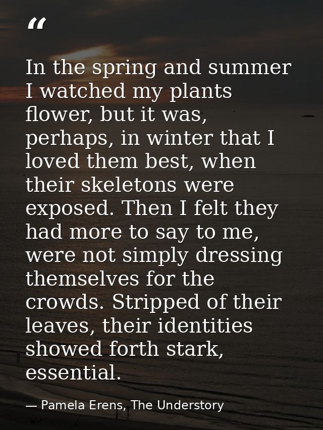 In the spring and summer I watched my plants flower, but it was, perhaps, in winter that I loved them best, when their s — Pamela Erens, The Understory