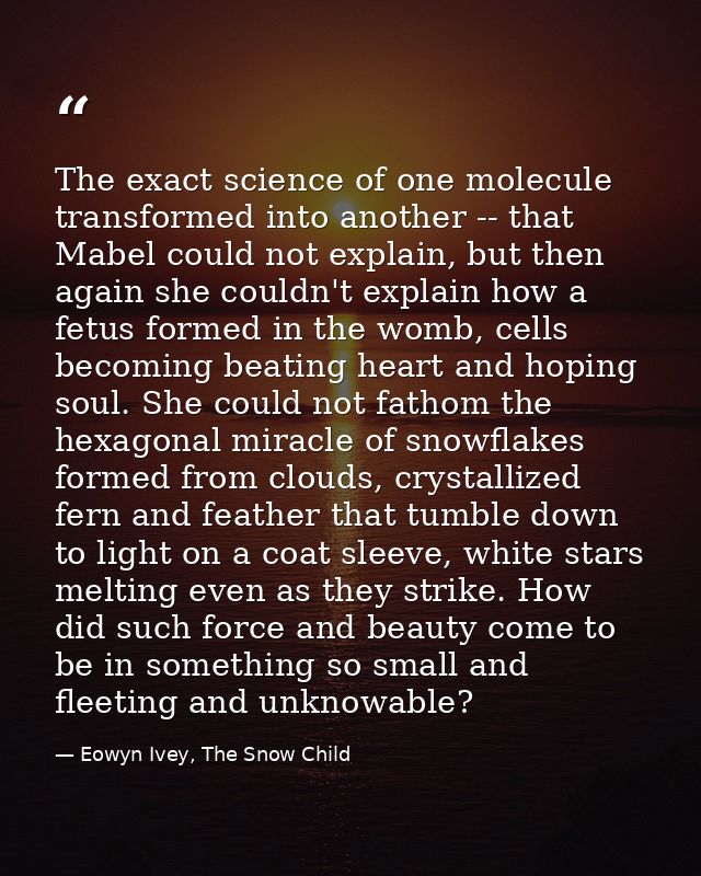 The exact science of one molecule transformed into another -- that Mabel could not explain, but then again she couldn't  — Eowyn Ivey, The Snow Child
