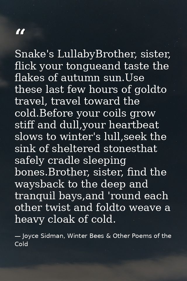 Snake's LullabyBrother, sister, flick your tongueand taste the flakes of autumn sun.Use these last few hours of goldto t — Joyce Sidman, Winter Bees & Other Poems of the Cold