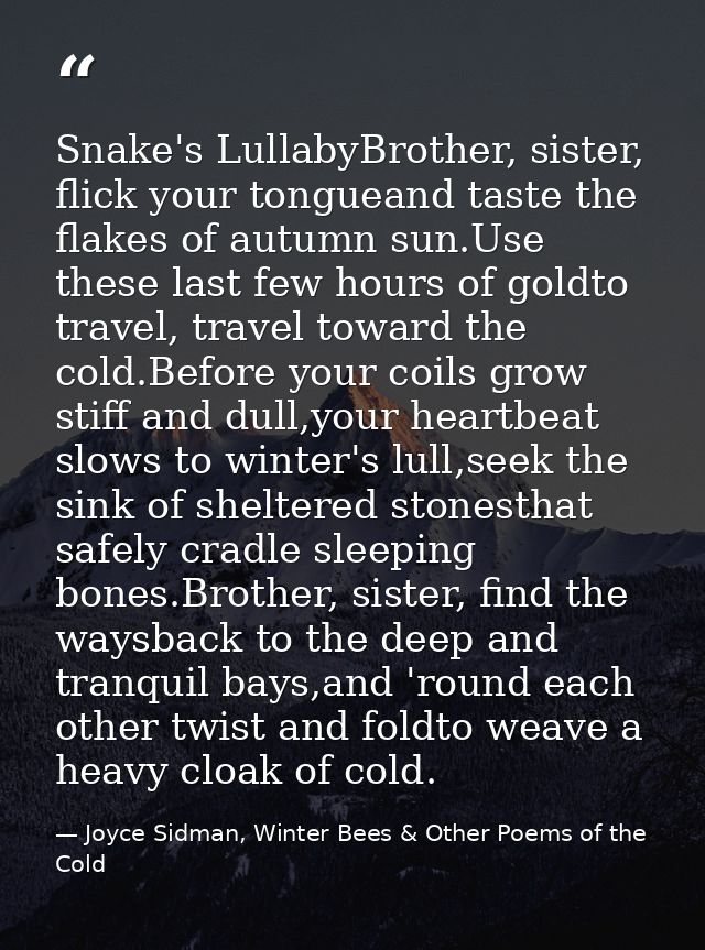 Snake's LullabyBrother, sister, flick your tongueand taste the flakes of autumn sun.Use these last few hours of goldto t — Joyce Sidman, Winter Bees & Other Poems of the Cold