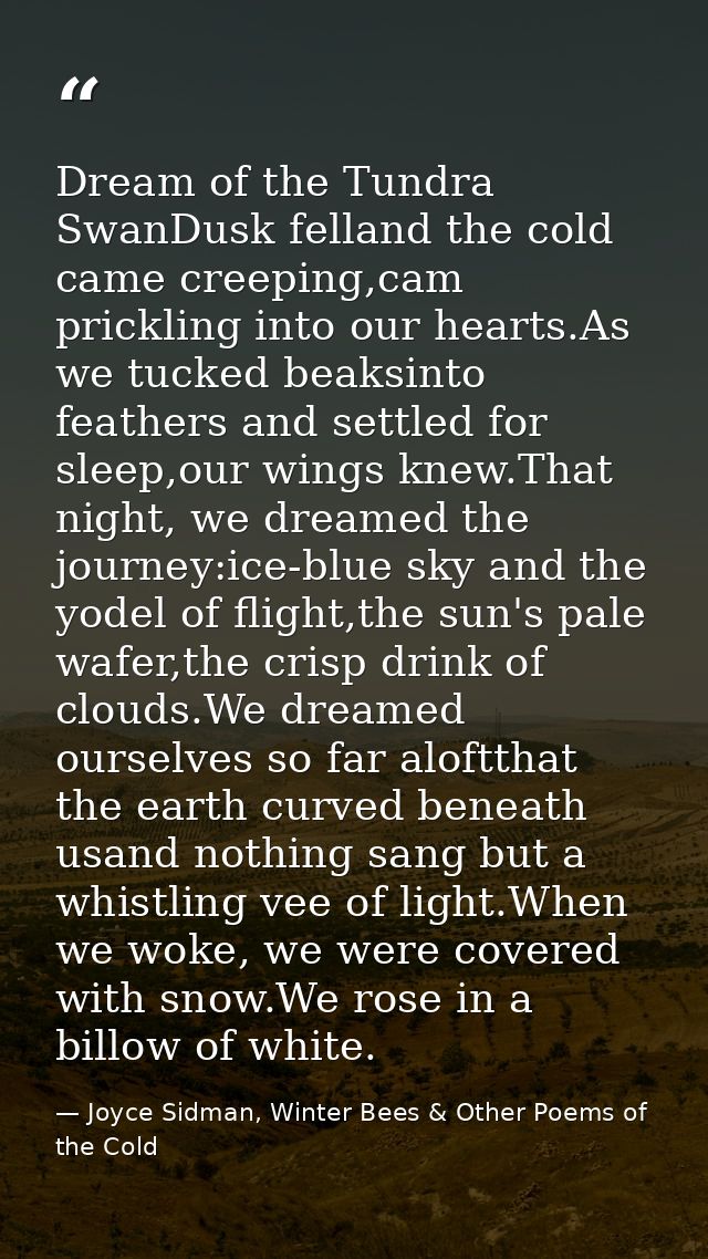 Dream of the Tundra SwanDusk felland the cold came creeping,cam prickling into our hearts.As we tucked beaksinto feather — Joyce Sidman, Winter Bees & Other Poems of the Cold