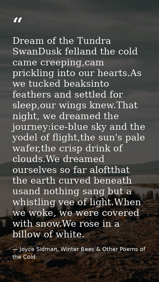 Dream of the Tundra SwanDusk felland the cold came creeping,cam prickling into our hearts.As we tucked beaksinto feather — Joyce Sidman, Winter Bees & Other Poems of the Cold