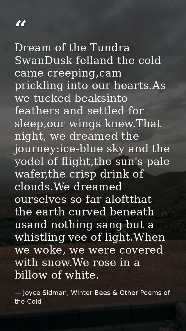 Dream of the Tundra SwanDusk felland the cold came creeping,cam prickling into our hearts.As we tucked beaksinto feather — Joyce Sidman, Winter Bees & Other Poems of the Cold