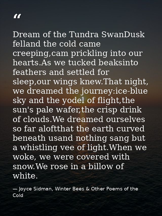 Dream of the Tundra SwanDusk felland the cold came creeping,cam prickling into our hearts.As we tucked beaksinto feather — Joyce Sidman, Winter Bees & Other Poems of the Cold