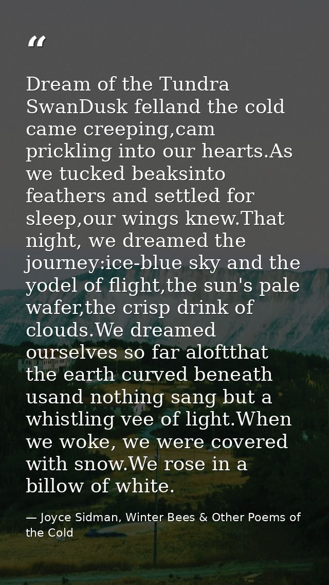 Dream of the Tundra SwanDusk felland the cold came creeping,cam prickling into our hearts.As we tucked beaksinto feather — Joyce Sidman, Winter Bees & Other Poems of the Cold