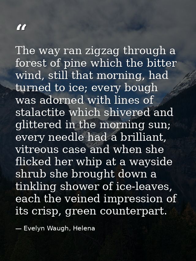 The way ran zigzag through a forest of pine which the bitter wind, still that morning, had turned to ice; every bough wa — Evelyn Waugh, Helena