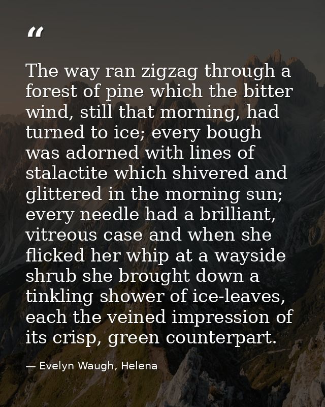 The way ran zigzag through a forest of pine which the bitter wind, still that morning, had turned to ice; every bough wa — Evelyn Waugh, Helena