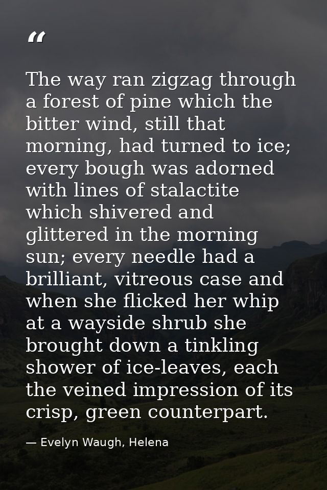 The way ran zigzag through a forest of pine which the bitter wind, still that morning, had turned to ice; every bough wa — Evelyn Waugh, Helena