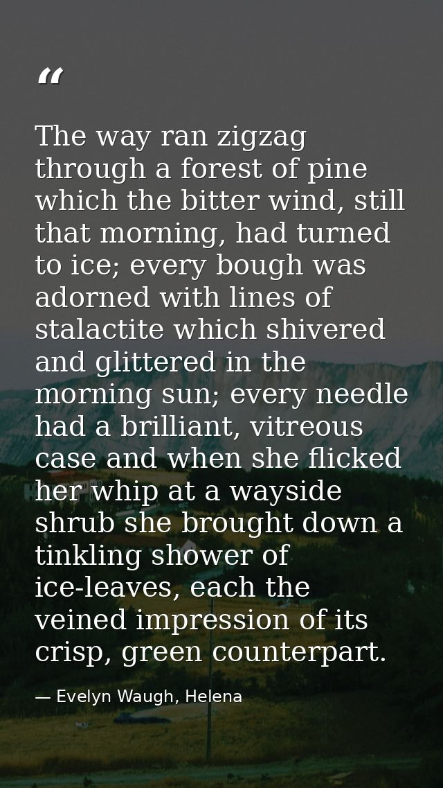 The way ran zigzag through a forest of pine which the bitter wind, still that morning, had turned to ice; every bough wa — Evelyn Waugh, Helena