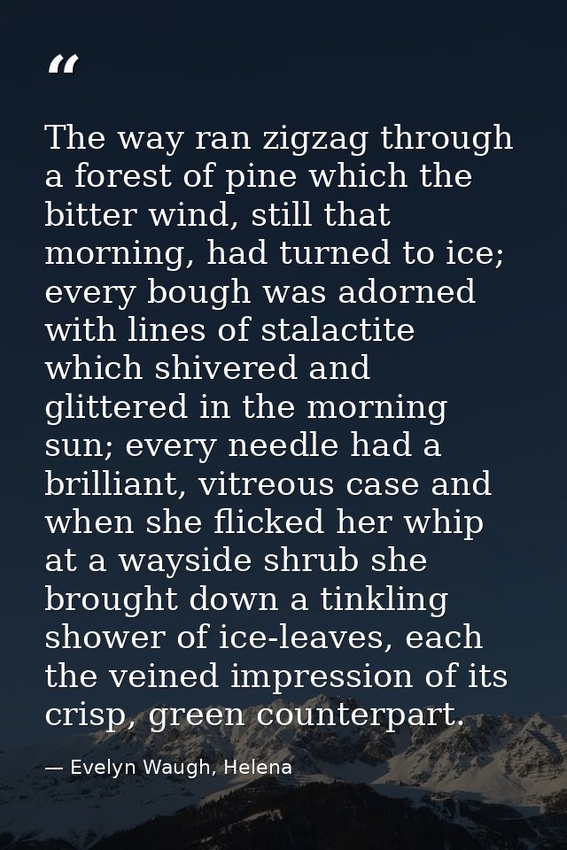 The way ran zigzag through a forest of pine which the bitter wind, still that morning, had turned to ice; every bough wa — Evelyn Waugh, Helena