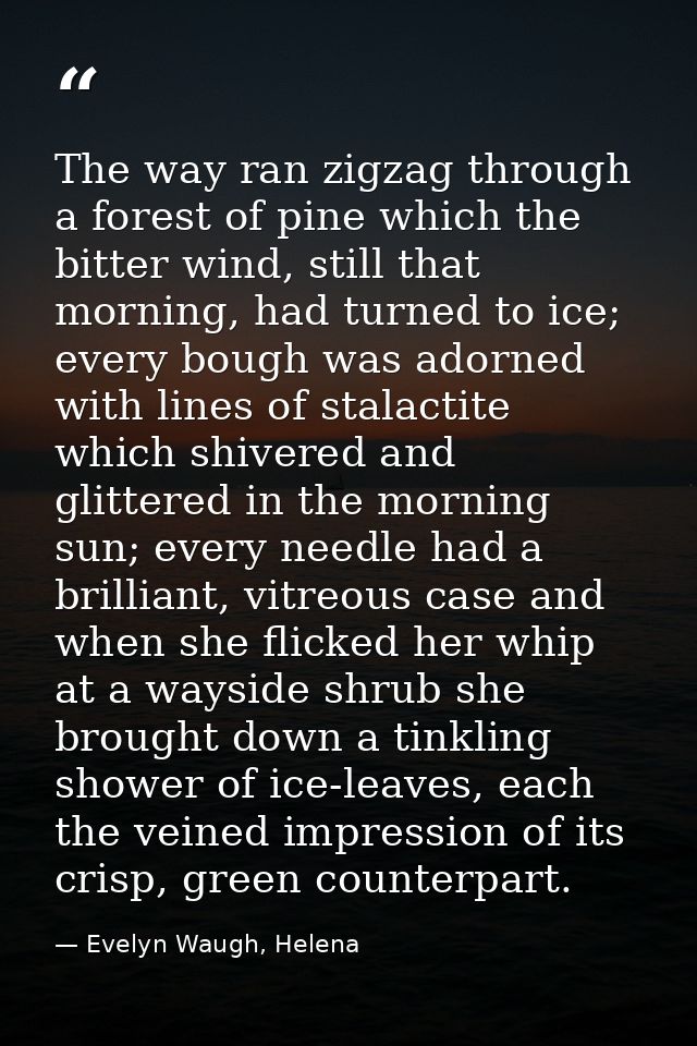 The way ran zigzag through a forest of pine which the bitter wind, still that morning, had turned to ice; every bough wa — Evelyn Waugh, Helena