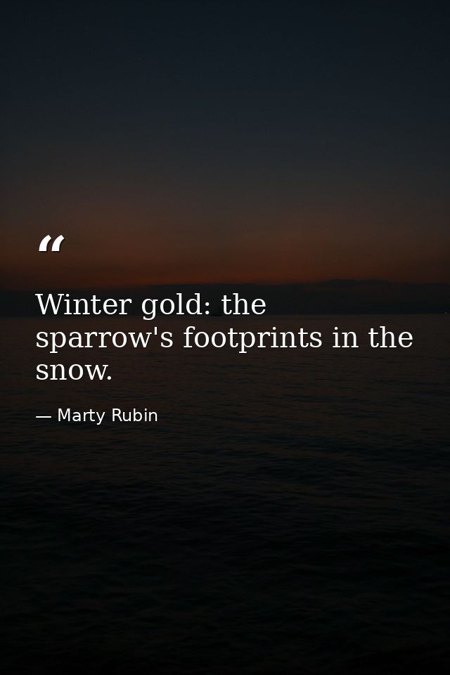 Winter gold: the sparrow's footprints in the snow. — Marty Rubin