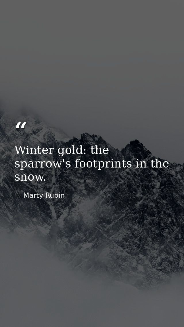 Winter gold: the sparrow's footprints in the snow. — Marty Rubin