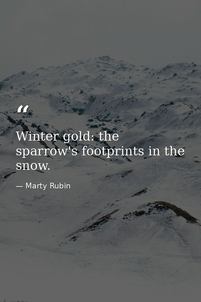 Winter gold: the sparrow's footprints in the snow. — Marty Rubin