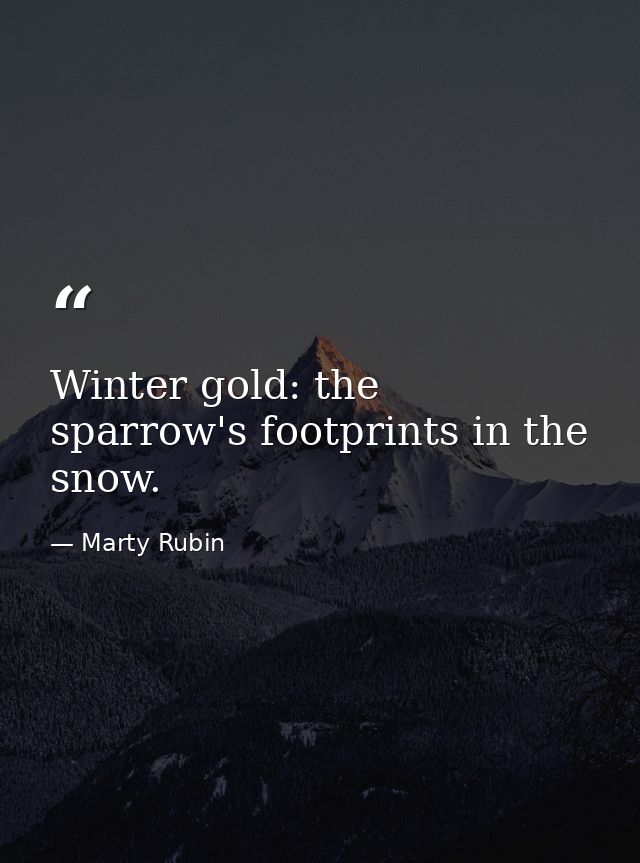 Winter gold: the sparrow's footprints in the snow. — Marty Rubin